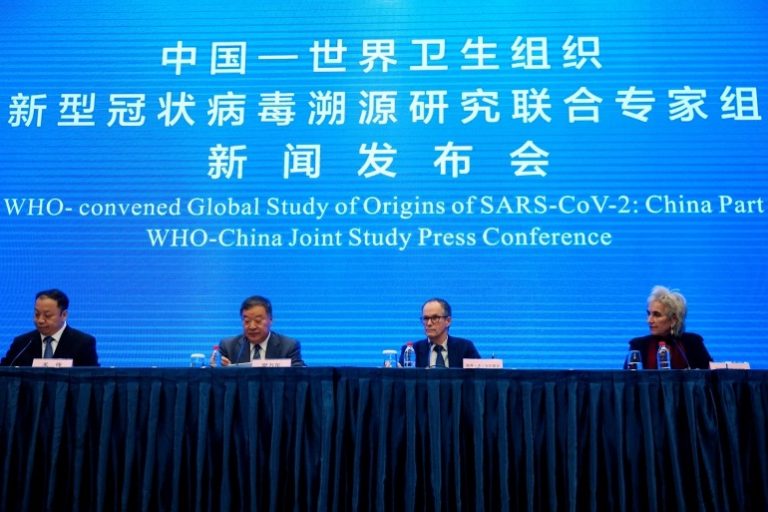 WHO report says animals likely source of COVID: AP