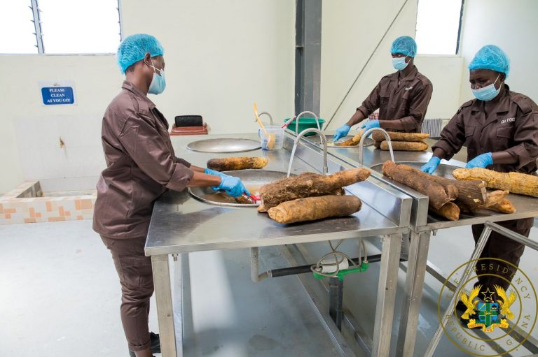 Akufo-Addo commissions ¢10m yam and cassava processing factory in Krachi East