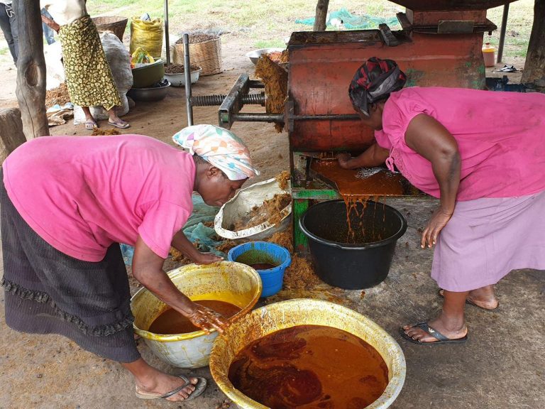 Unlicensed palm oil producers to face the law by next year