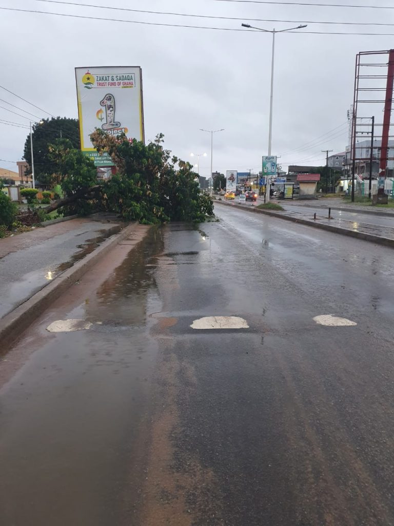Parts of Accra flooded, and fallen tree branches block roads