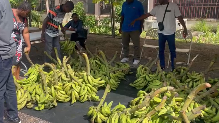 ‘The big truck is still on the way’ – Agric Ministry justifies insufficient foodstuff at PFJ market