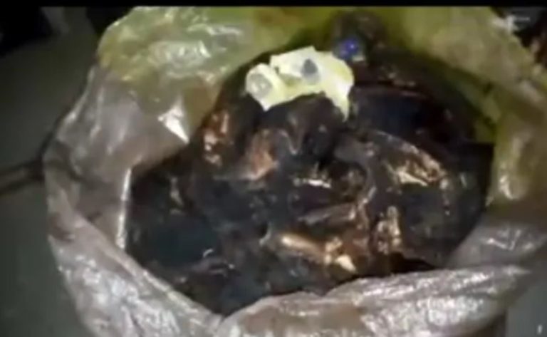 Suspected cow meat infected with anthrax confiscated 