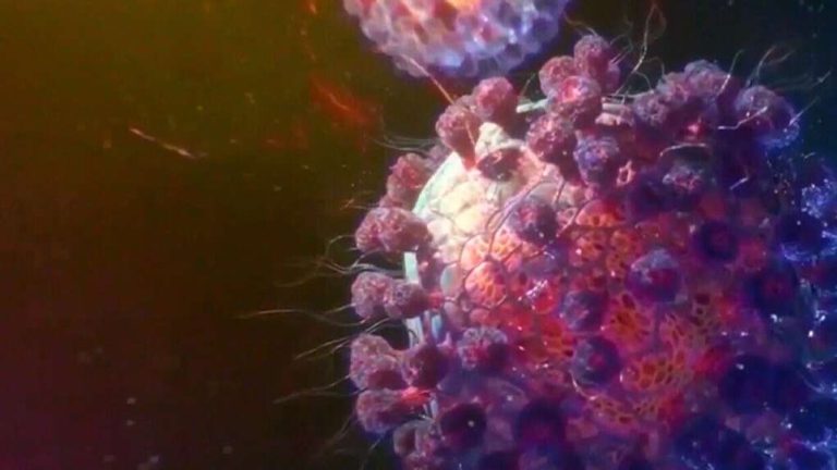 Eris Covid-19 variant now in SA: WHO flags concern amid rising global infections