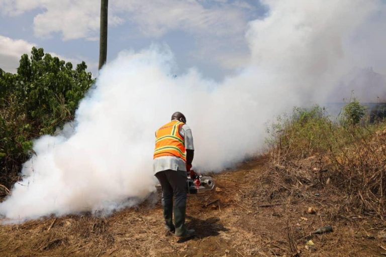 Fumigation 2
