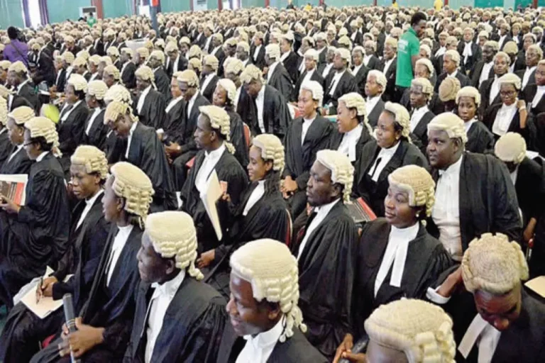 Lawyers