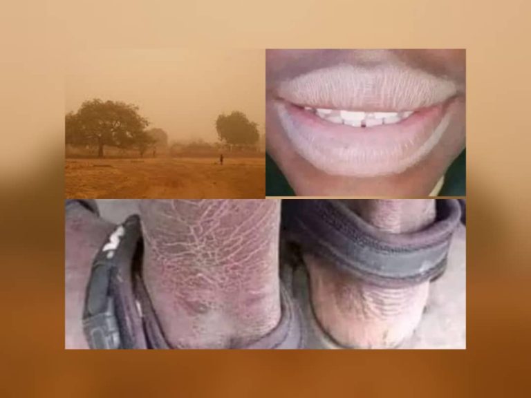 Harmattan
