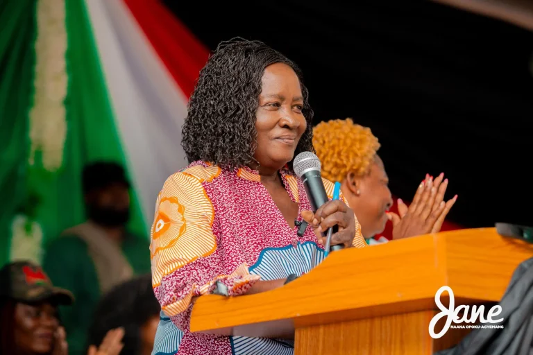 Professor Naana Jane Opoku-Agyemang,