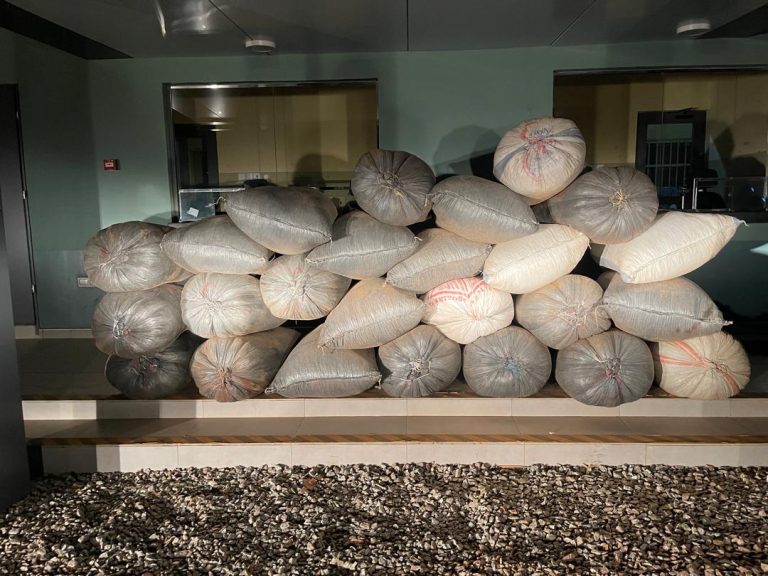 GIS intercepts 25 bags of smuggled cocoa beans at Bunkpurugu
