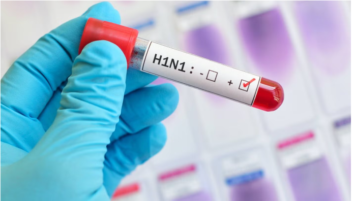 H1N1 FLU
