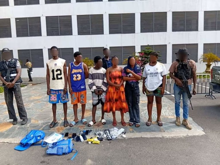 Police arrest 10 for creating fake online food delivery platforms to defraud customers