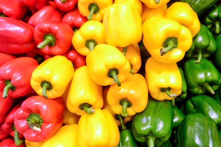 Which color of bell pepper offers the greatest support for immune health?